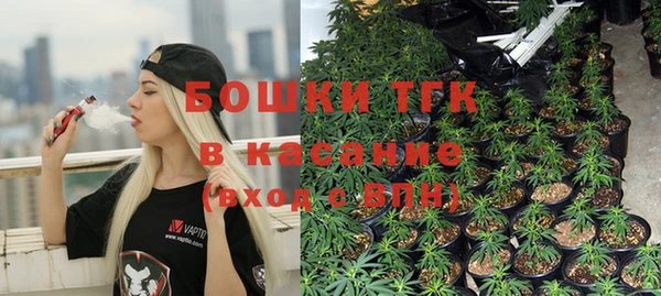стаф Туринск
