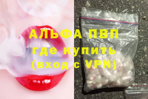 стаф Туринск
