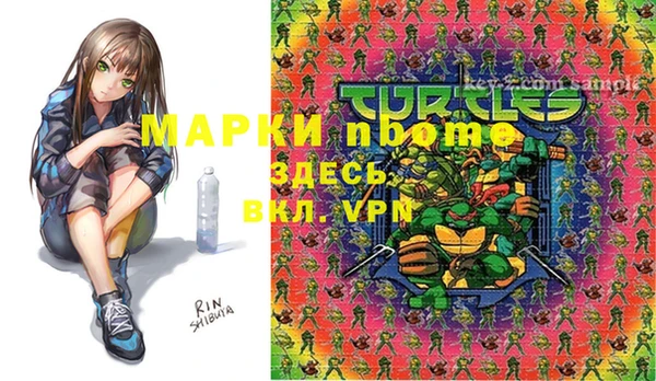 стаф Туринск