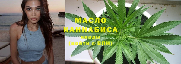 тгк Дмитриев