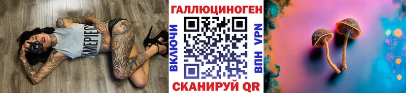 OMG ONION  Черняховск  Псилоцибиновые грибы мухоморы 