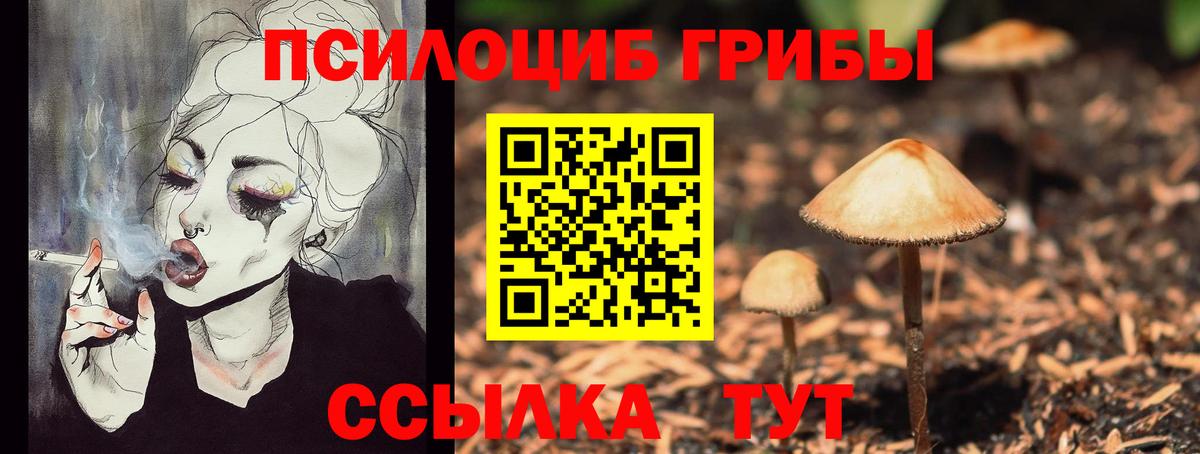 Псилоцибиновые грибы мухоморы Черняховск